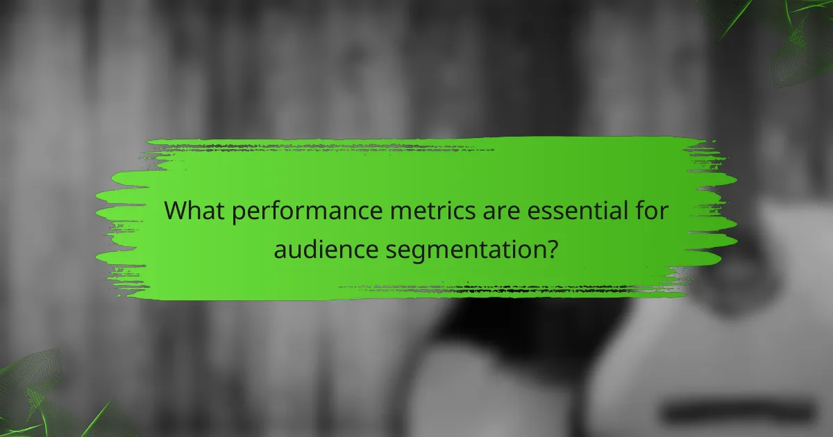 What performance metrics are essential for audience segmentation?